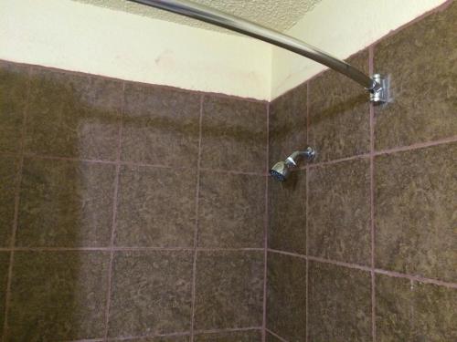Lake Shore Motel - image 3