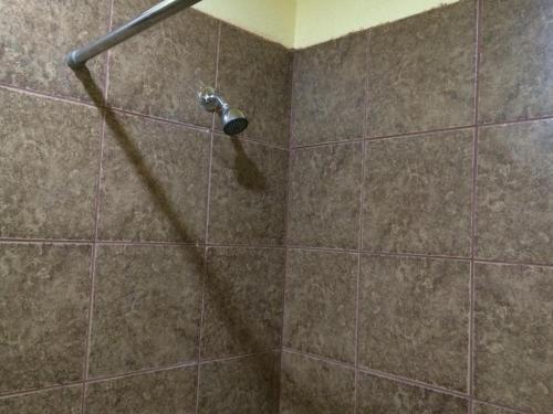 Lake Shore Motel - image 9