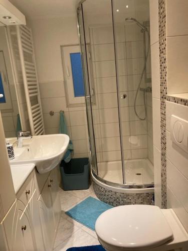 Ferienwohnung Hoverla in Linz am Rhein