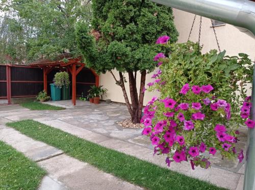 Apartman Ady 6 - image 8