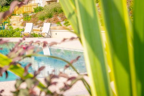 Agriturismo Le Bianchette - image 3