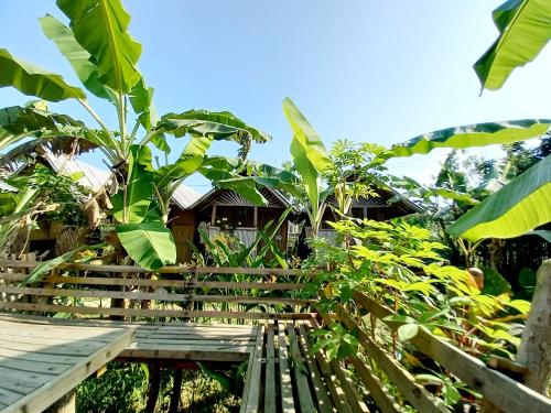 Banana Grove El Nido – El Nido, WI