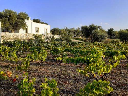 Casa dei Vigneti gîte à louer Carovigno
