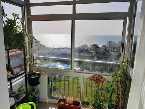 ระเบียง/ชานเรือน, Arroyo mar & montaña cozy place (Arroyo mar & montana cozy place) in เบนัลมาเดนา