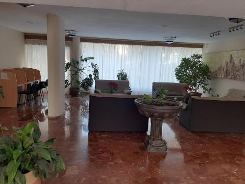 ล็อบบี้, Arroyo mar & montaña cozy place (Arroyo mar & montana cozy place) in เบนัลมาเดนา