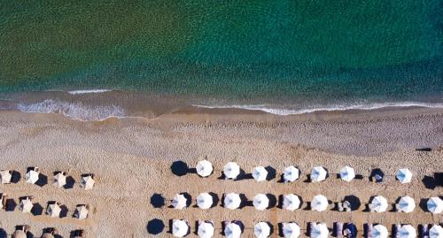 Dyo Suites - image 9