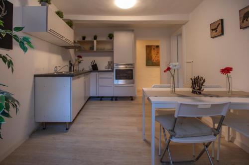 Hall Deluxe Mountain View Apartment