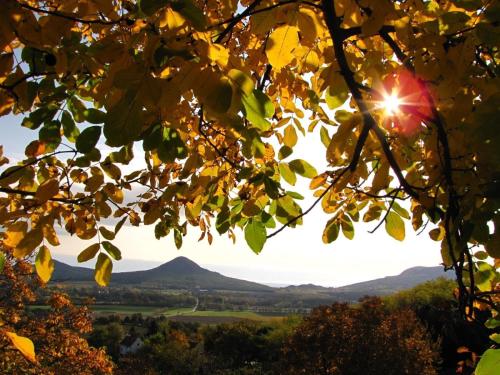 Chill'Inn Country Home in the Balaton Uplands