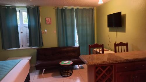 Beach Studio 9, Ocho Rios (zdjęcie 11)