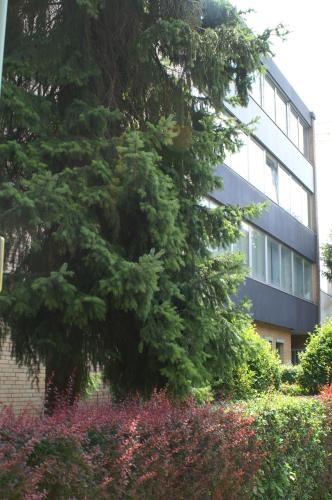 CREO Munich City - image 14