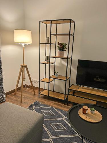 Przytulny Apartament Mickiewicza 14/3