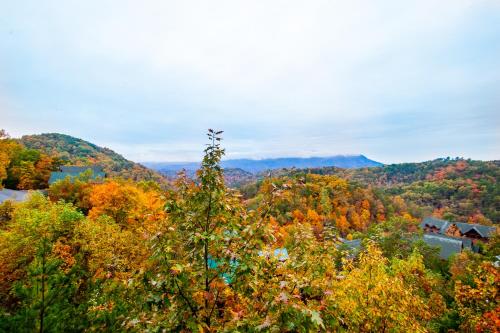 Smoky Mountain Bearadise - image 11