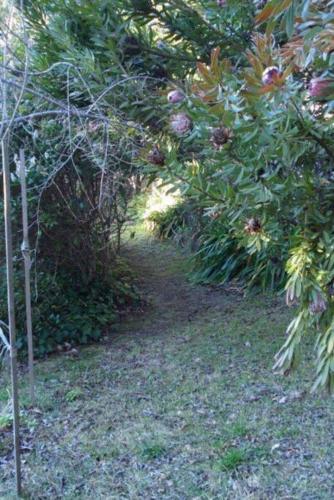 Dowling Cottage - tranquil haven in Blackheath