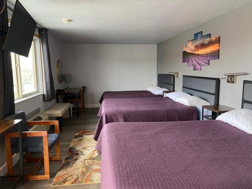 Aircrest Motel - image 6