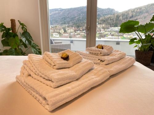 Luxus Penthouse Bregenz Feldmoos mit Whirlpool & riesen Terrasse, nahe Festspiele