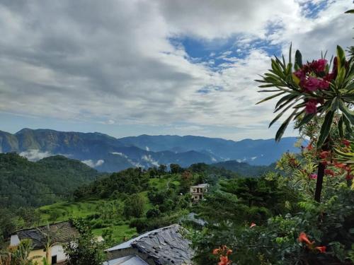 Shyamlatal Hilltop Resort