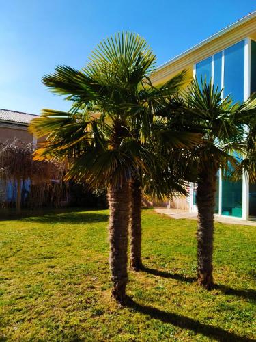 Градина, Hostal Rural Fidel Garcia Guzman in València