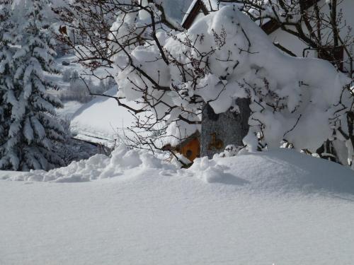 Appartement Fossa