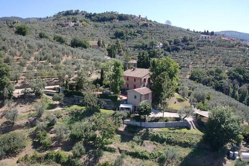  Villa Vestra in Vinci holiday home, Unterkunft in Vinci