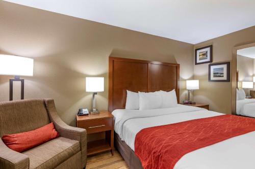 Comfort Inn & Suites Cedar Rapids North - Collins Road - image 11