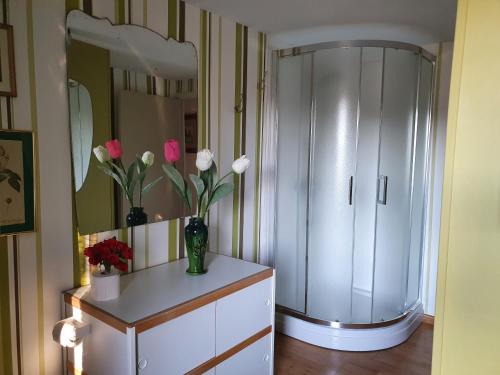 Sur la Rive Vierre in 希尼