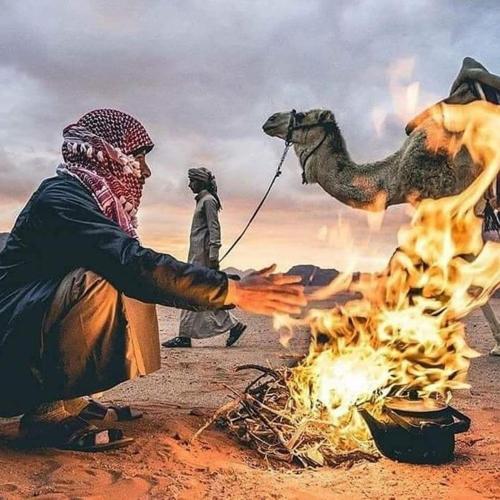 moon valley camp