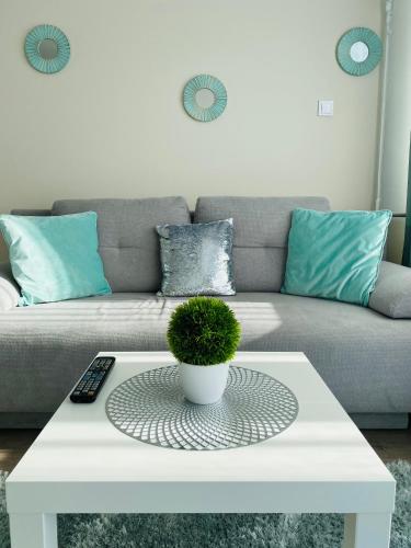 Zrinyi Central Apartman with free parking
