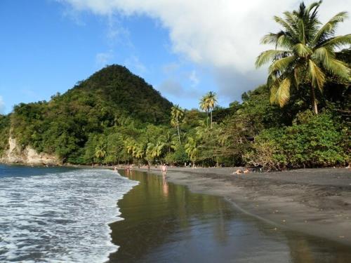 LA PERLE MARINE in Le Precheur