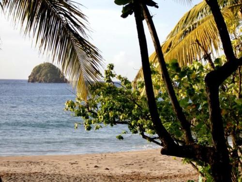 LA PERLE MARINE in Le Precheur