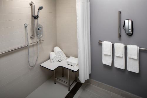 King Room with Roll-In Shower - Disability Access image 6