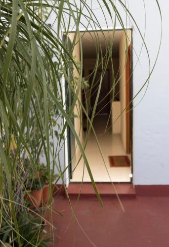 One-Bedroom Apartment image 6