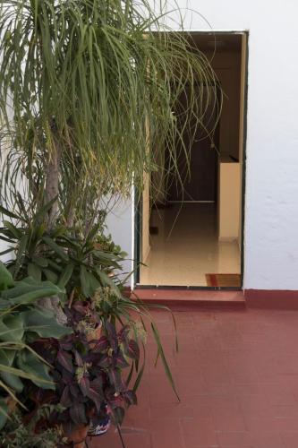 One-Bedroom Apartment image 1