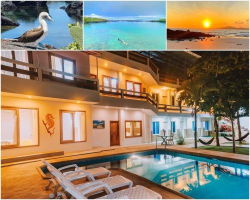 Galapagos Isabela Hotel Loja