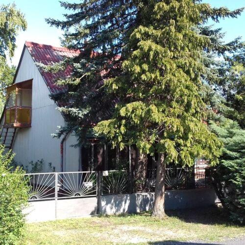 Flora Apartman