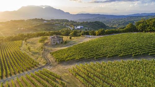 Borgo San Gregorio - Hotel - Sorbo Serpico