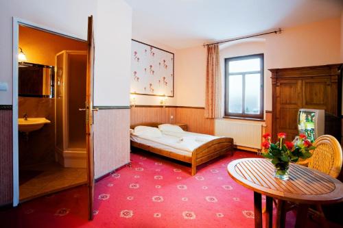 Perła Karkonoszy SPA - W samym centrum Karpacza – Karpacz, WI