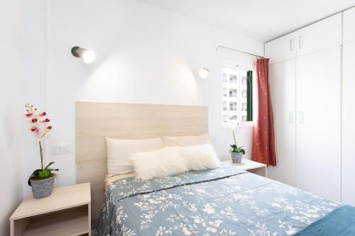  Black Cat Surf House 1 D in Arona