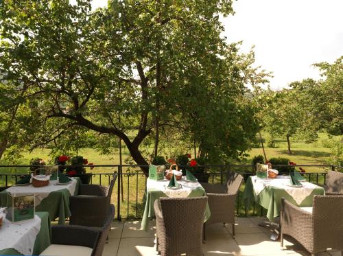 Donauhof - Hotel garni - image 12