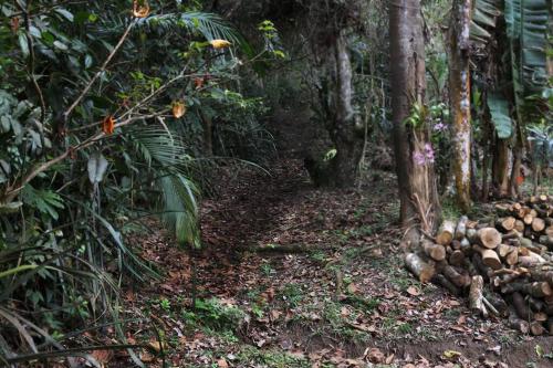 Kert, CABANA DAS IÇARAS - Conforto junto à natureza (CABANA DAS ICARAS - Conforto junto a natureza) in São João do Rio Vermelho