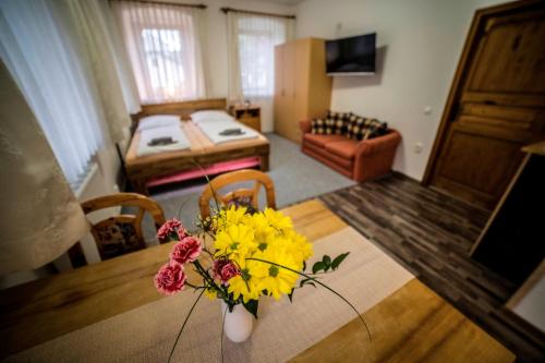 Family apartments in Vrchlabí, Giant Mountains - Pension 220 - Vrchlabí