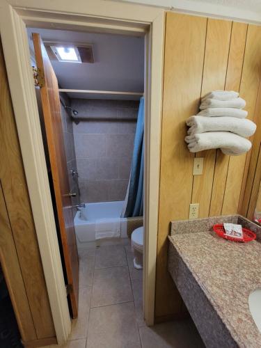 Eddys Motel in Pleasanton, USA