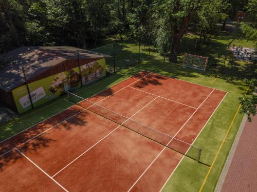 Apartament wśród drzew - image 8