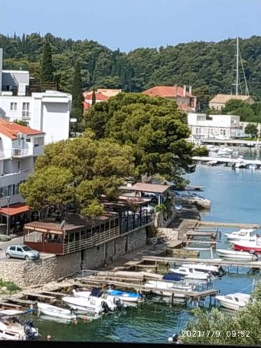 Apartments Raguz