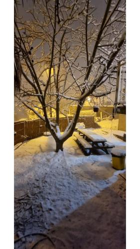 Jardin, Garden apartments. in Majdal Shams