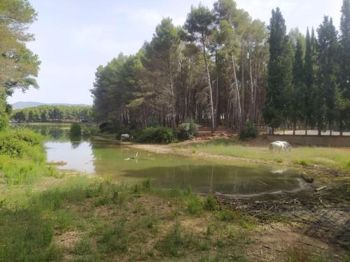 Casa junto al lago