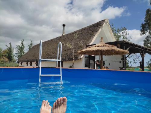 Accommodation in Deltebre