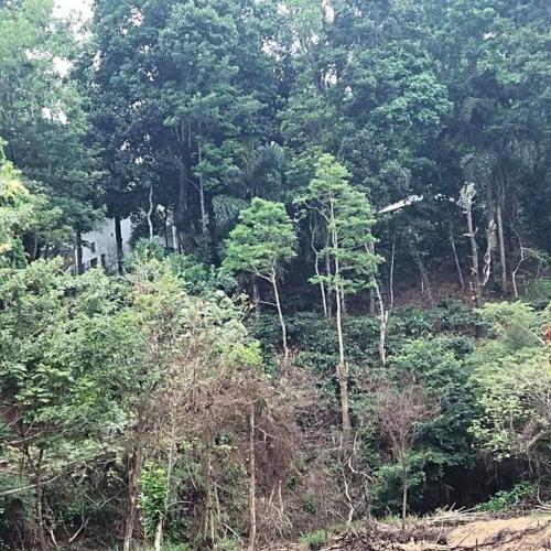 Coorg holiday home