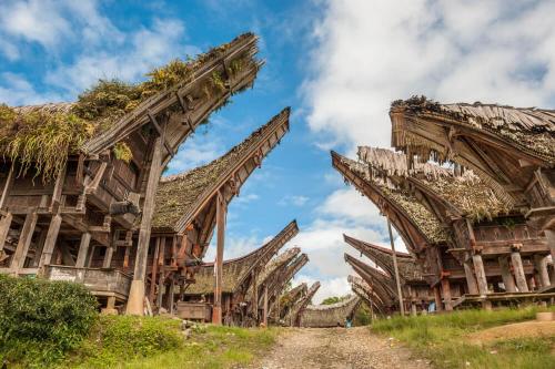 Sugi House Toraja - Villa Penginapan Sewa Harian
