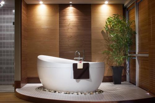 wellnessfaciliteiten, Hodson Bay Hotel in Athlone