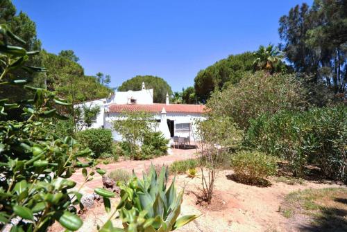 Violeta gîte à louer Além